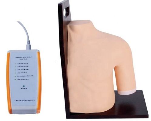 Formation médicale avancée en PVC Modèle d'enseignement sur le simulateur d'injection intracavitée de l'articulation de l'épaule