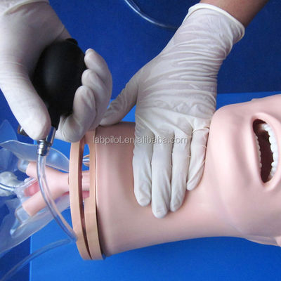 Modèle avancé de gestion des voies respiratoires en PVC pour la formation en intubation et aspiration des soins de santé