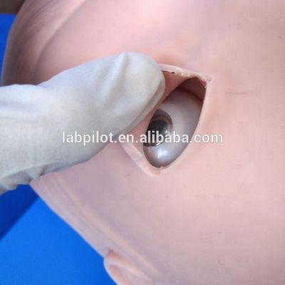 Modèle avancé de gestion des voies respiratoires en PVC pour la formation en intubation et aspiration des soins de santé