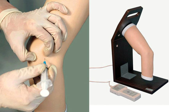 Simulateur d'entraînement à l'injection intra-articulaire de PVC avancé pour le modèle de coude humain