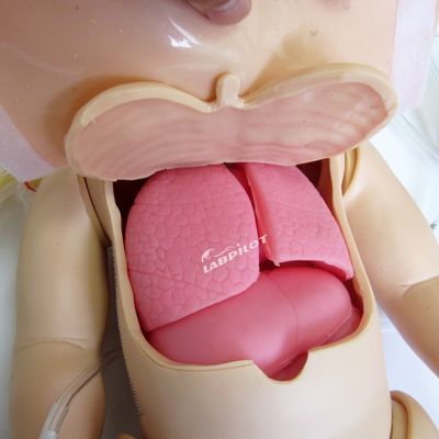 Manikine en PVC avancée pour la RCR pédiatrique et la simulation de soins infirmiers pour nourrissons