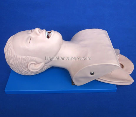 Simulateur électronique d'intubation trachéale de mannequin adulte avec alarme de pression dentaire