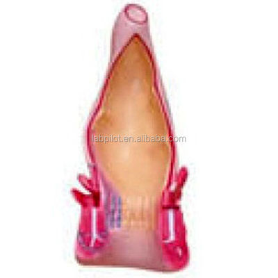 Structures détaillées d'anatomie du rectum humain et du canal anal Modèle pour les conférences médicales