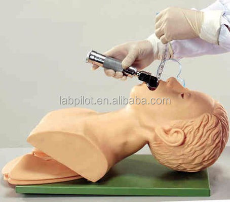 Simulateur électronique d'intubation trachéale de mannequin adulte avec alarme de pression dentaire