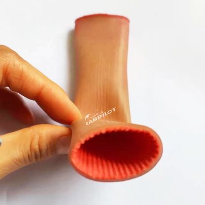 Modèle de formation à l'anastomose intestinale pour étudiants en médecine Pratique de suture laparoscopique