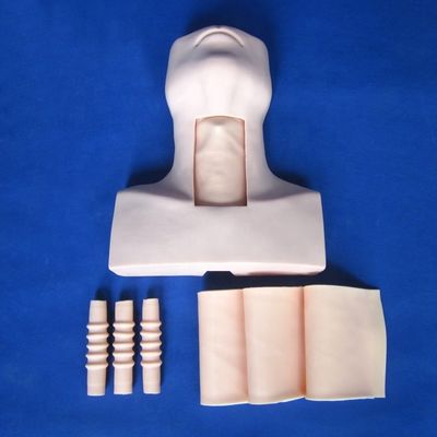 Modèle HOT pour les professionnels de la santé