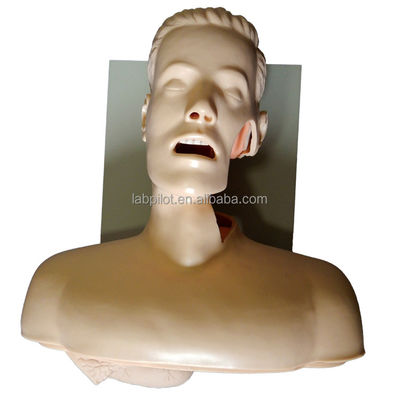 Avertissement électronique Formateur en intubation orale et nasale pour la formation aux compétences d'urgence