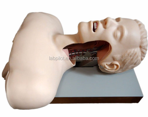 Avertissement électronique Formateur en intubation orale et nasale pour la formation aux compétences d'urgence