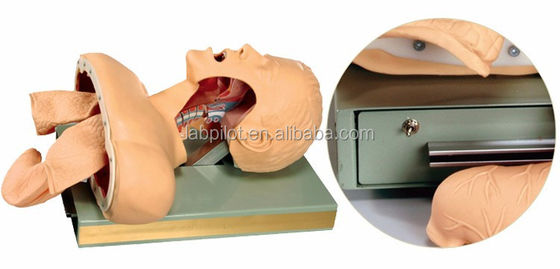 Avertissement électronique Formateur en intubation orale et nasale pour la formation aux compétences d'urgence