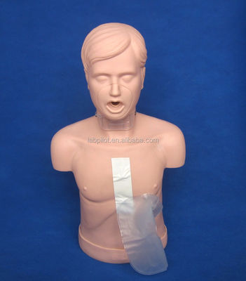 Manikine de RCR pour adultes avec ouverture avancée des voies respiratoires et simulation de manœuvre de Heimlich