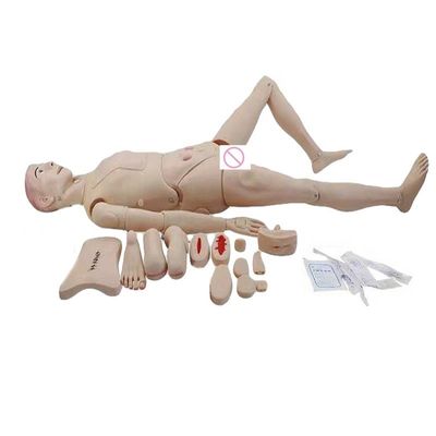 Mannequin génital spécifique au sexe pour la formation en sciences médicales