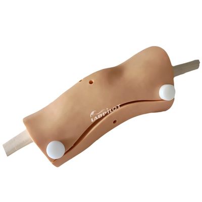 Modèle d'arthroscopie avancée du genou Formation aux compétences en soins infirmiers cliniques avec plastique PVC avancé