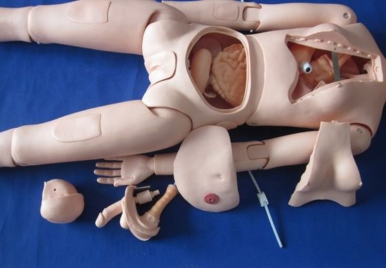 Taille humaine mannequin infirmier pour patients démonstration de soins corps entier Femme