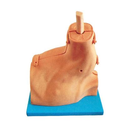 Simulateur de formation à l'examen médical pour l'arthroscopie de l'épaule