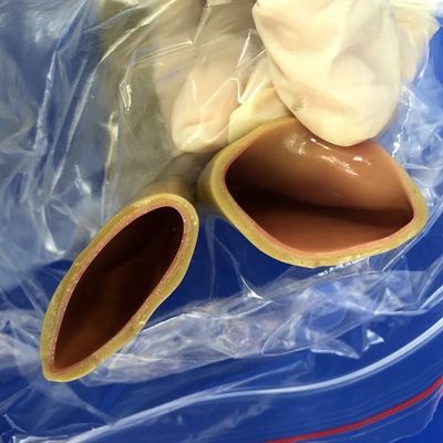 Modèle de formation aux compétences chirurgicales pour l'anastomose intestinale Simulation humaine réaliste