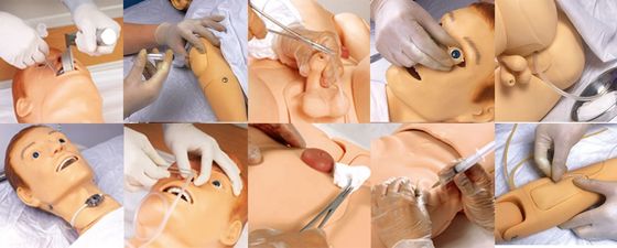 Catégories Pratique complète de soins infirmiers Simulateur multifonctionnel de patient masculin