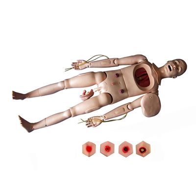 Formation en soins infirmiers pour hommes et femmes Manivelle pour soins aux patients flexibles