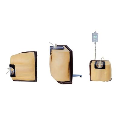 Formation et éducation du corps humain Vivid Modèle de simulation avancée de ponction spinale en PVC