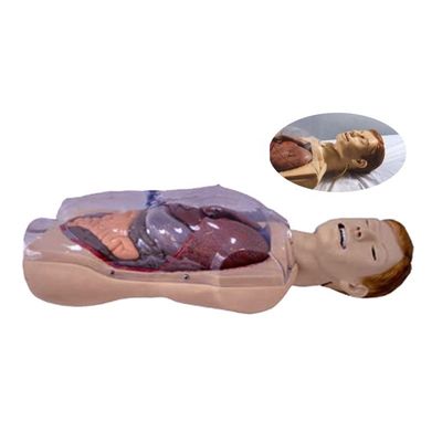 Hôpital Clinique Collège Infirmière École La taille de la vie humaine Sengstaken-Blakemore NG Tube Simulateur de formation en soins infirmiers