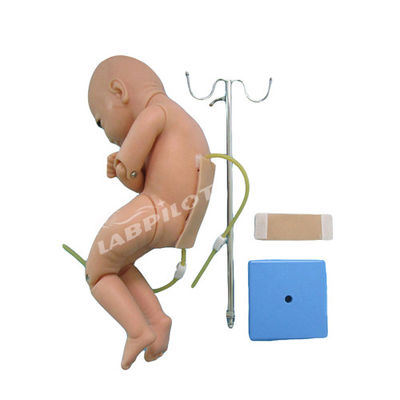 Science médicale Pincure lombaire du nourrisson Anesthésie Simulateur d'entraînement mannequin