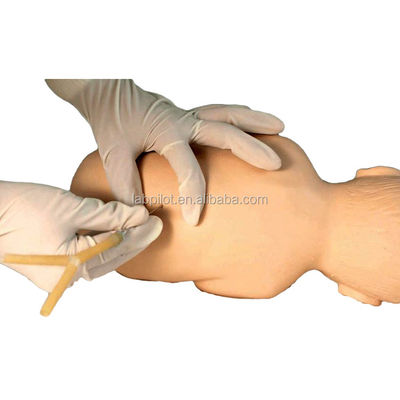 Science médicale Pincure lombaire du nourrisson Anesthésie Simulateur d'entraînement mannequin