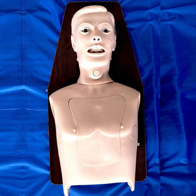 Entraîneur d'intubation pour adultes: le meilleur choix pour la formation en gestion des voies respiratoires multifonctionnelles
