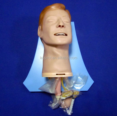 Simulateur d'entraînement d'intubation Modèle complet des voies respiratoires avec mannequin de taille humaine