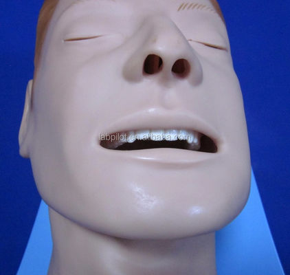 Simulateur d'entraînement d'intubation Modèle complet des voies respiratoires avec mannequin de taille humaine