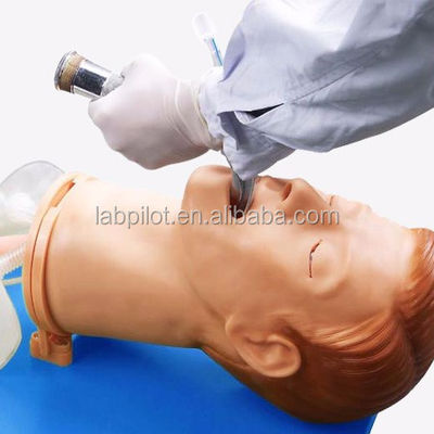 Simulateur d'entraînement d'intubation Modèle complet des voies respiratoires avec mannequin de taille humaine