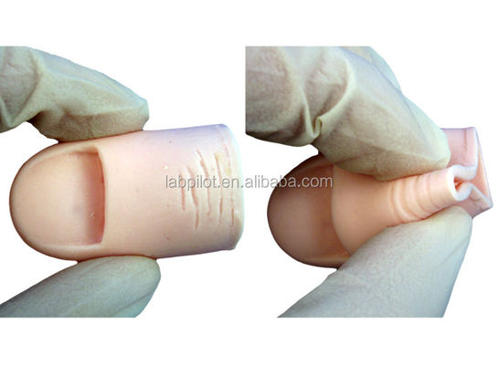 Modèle de formation à l'excision des ongles pour l'enseignement des compétences en chirurgie clinique en sciences médicales