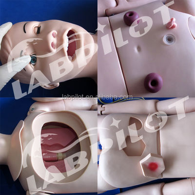 Simulateurs d'enseignement de l'infirmière clinique complète Manivelle infirmière féminine multifonctionnelle