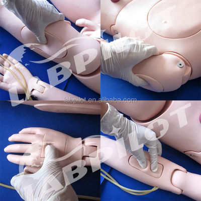 Simulateurs d'enseignement de l'infirmière clinique complète Manivelle infirmière féminine multifonctionnelle