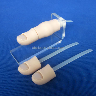 Science médicale 2017 Simulateur d'ongles incarnés de l'ongle partiel Formation à l'avulsion de l'ongle Modèle de doigt