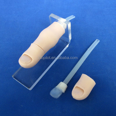Science médicale 2017 Simulateur d'ongles incarnés de l'ongle partiel Formation à l'avulsion de l'ongle Modèle de doigt