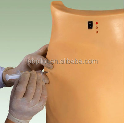 Modèle de formation sur le simulateur d'injection de fesses électroniques avancées en PVC
