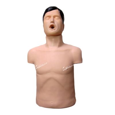 Entraînement en premiers secours en PVC pour adultes obstruction des voies respiratoires Manikine pour étouffement