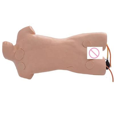 Manuque de formation en soins humains en PVC avancé pour la simulation de la ponction de veine jugulaire externe