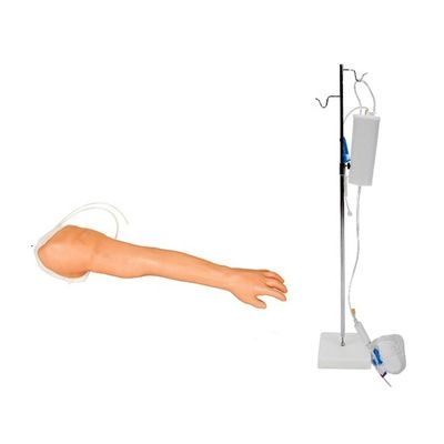 Modèle réaliste de bras de formation à la vénénecture et à l'injection pour les professionnels de la santé