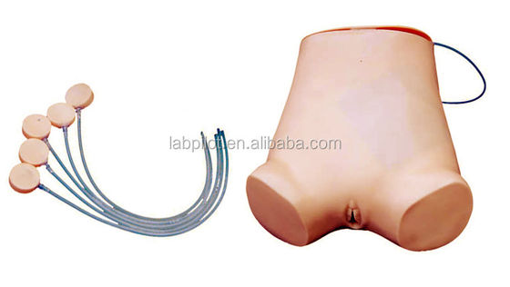 Abdominocentesis vif Compétences de pratique Modèle Avantage de la structure anatomique vif