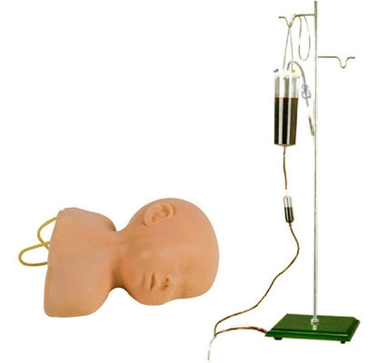 Modèle de formation à la vénénecture du cuir chevelu néonatal L'avantage de la conception de taille humaine