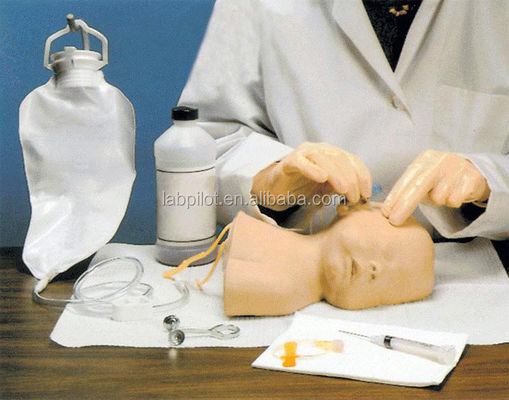 Modèle de formation à la vénénecture du cuir chevelu néonatal L'avantage de la conception de taille humaine