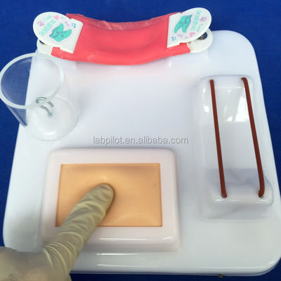 Modèle avancé de formation aux compétences chirurgicales multifonctionnelles en PVC pour une formation complète