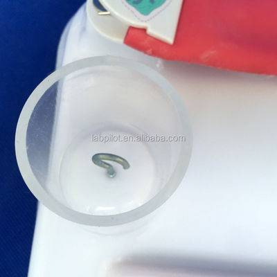 Modèle avancé de formation aux compétences chirurgicales multifonctionnelles en PVC pour une formation complète