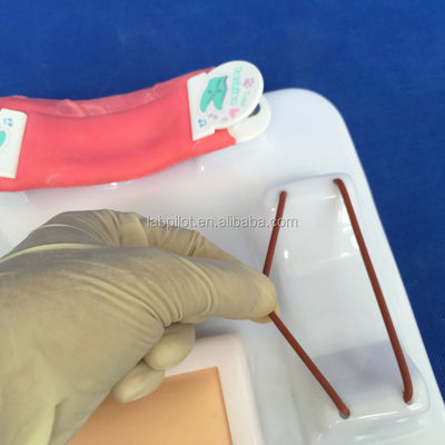 Modèle avancé de formation aux compétences chirurgicales multifonctionnelles en PVC pour une formation complète
