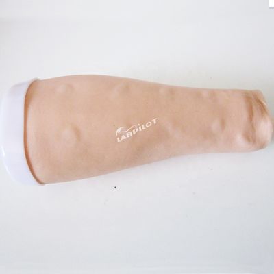 Simulateur de pratique des tests cutanés Taille de vie humaine Injection intradermique Modèle de bras de formation