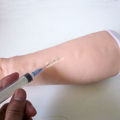Simulateur de pratique des tests cutanés Taille de vie humaine Injection intradermique Modèle de bras de formation