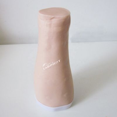 Simulateur de pratique des tests cutanés Taille de vie humaine Injection intradermique Modèle de bras de formation