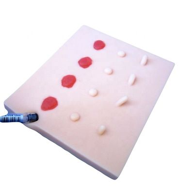 Perfectionnez votre démonstration de soins aux patients avec mannequin et modèle de formation sur les lésions cutanées