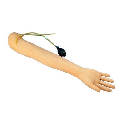 Simulateur d'enseignement médical de taille humaine bras pour le prélèvement sanguin et la pratique de perfusion