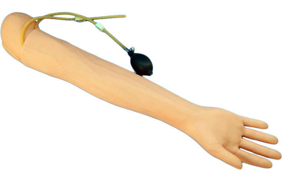 Simulateur d'enseignement médical de taille humaine bras pour le prélèvement sanguin et la pratique de perfusion